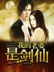 我的老婆是剑仙在线阅读